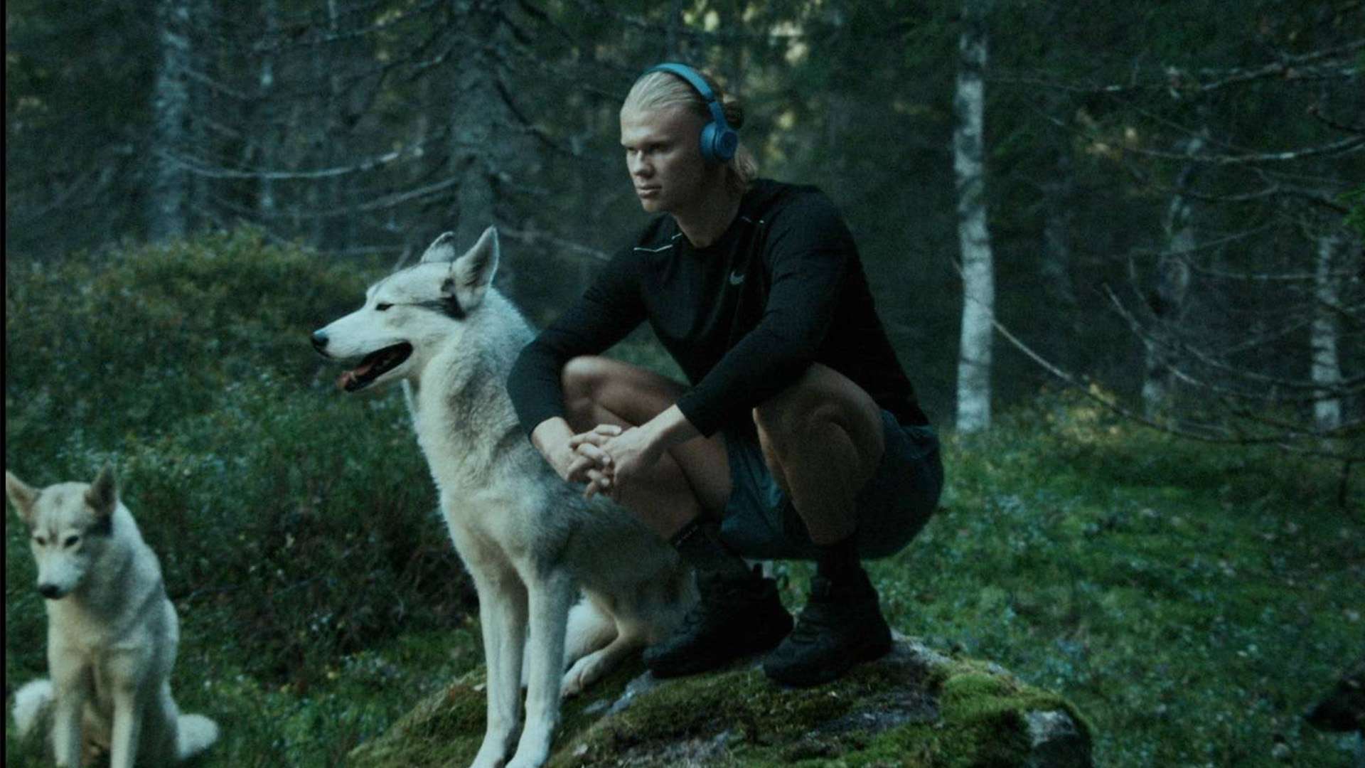 未来展望 未来展望